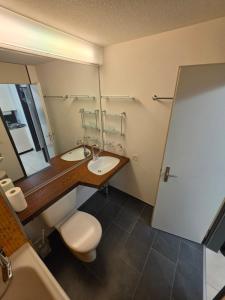 a bathroom with a sink and a toilet and a mirror at Utoring Acletta B 27 in Disentis +9 photos