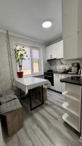 a kitchen with a table with a potted plant on it at Квартира посуточно in Balqash