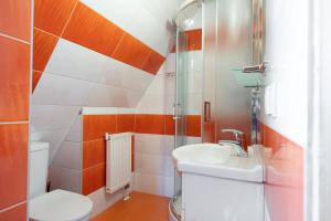 a bathroom with a toilet sink and a shower at Willa Rohacze in Kościelisko +16 photos