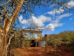 a house in the middle of a field with a tree at Mudhouse Zululand in Hluhluwe