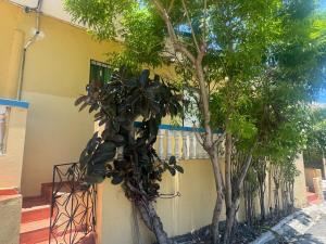 a tree in front of a building next to a building at Apto Próximo al Aeropuerto Gregorio Luperón in Puerto Plata