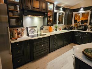 a kitchen with black cabinets and a sink at Villa piscine jacuzzi Mas la Bregeonière in Roquefort-les-Pins