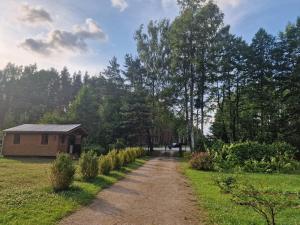 a dirt road leading to a house in a field at Osīšu Priežu māja in Ķesterciems