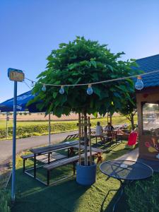 a park with a playground with a tree and tables at Chatka U Rybičky in Babice
