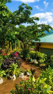 a garden with flowers and plants in front of a house at Naisi spur in Zomba