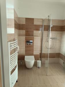 a bathroom with a toilet and a shower at Ubytování Krucemburk in Křížová +17 photos