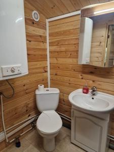 a bathroom with a toilet and a sink at Osīšu Priežu māja in Ķesterciems