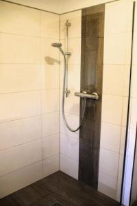 a bathroom with a shower with a glass door at Apartment -Zur Oehla in Ilmenau