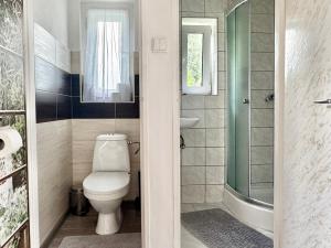 a bathroom with a toilet and a sink and a shower at Chaloupka Všemily in Jetřichovice +17 photos