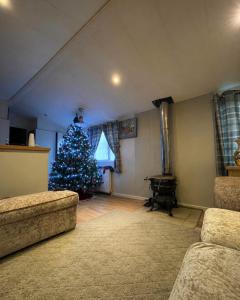 a living room with a christmas tree and a piano at The barn in Carmarthen
