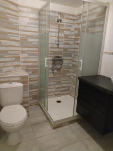 a bathroom with a toilet and a glass shower at Renovated studio in Le Crès in Le Crès