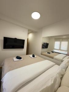 a bedroom with two beds and a flat screen tv at Apartman Mario in Čačak