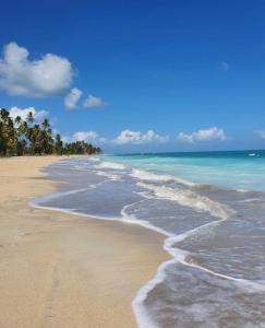a beach with water and trees in the ocean at Village Miramar in Maragogi