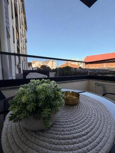 two potted plants sitting on a table on a balcony at Apartman Mario in Čačak