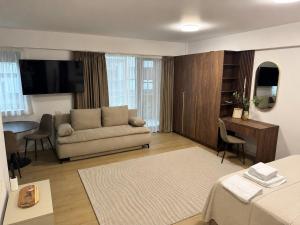 a living room with a couch and a flat screen tv at Piatra Studio Garden in Piatra Neamţ