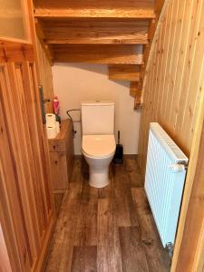 a bathroom with a toilet in a room with wooden walls at Chata Na Mechu in Dolní Podluží +16 photos