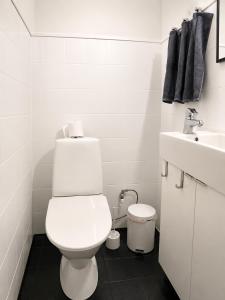 a white bathroom with a toilet and a sink at Galle's 2 bedroom penthouse in Pori +7 photos