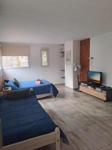 a living room with a bed and a flat screen tv at Aires de la costa Renovado in Neuquén