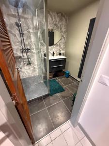 a bathroom with a shower and a sink at Flamingo Bay in Les Trois-Îlets