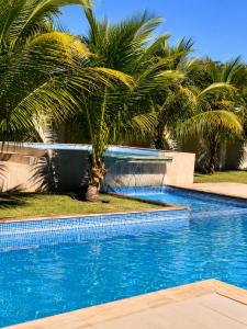 a palm tree sitting next to a swimming pool at Hotel Imperador in Gurupi +1 photo