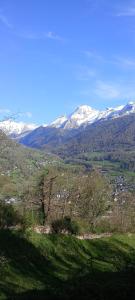 a green field with snow capped mountains in the background at Chambre chez sylvie in Laruns