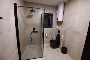 a bathroom with a shower and a toilet at Luxury Villa with a Private Pool in Hadžići +14 photos