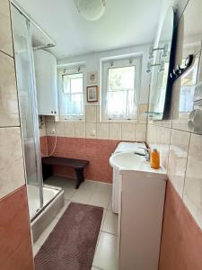 a small bathroom with a sink and a shower at Chata Białobrzeg in Białobrzeg Dalszy +21 photos