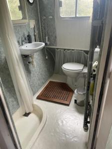 a bathroom with a toilet and a sink at Péniche Mary in Reyssouze