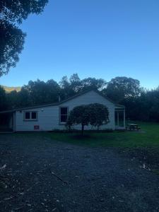 a white house with a tree in front of it at Cath's cottage in Diamond Harbour