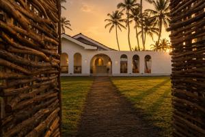 an exterior view of a house with palm trees at Curve Ahangama in Ahangama