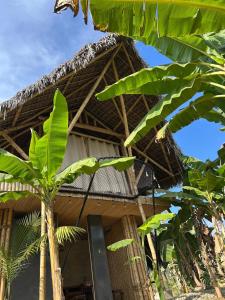 a building with a large bunch of green leaves at Kapiro Ecolodge Satipo in Satipo