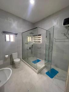 a bathroom with a shower and a toilet and a sink at The Grace Villa in Abeokuta +17 photos