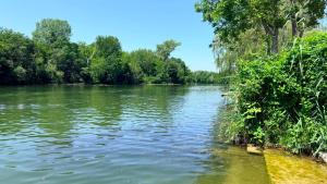 a river with trees on the side of it at Rebeka Vendégház in Dunasziget