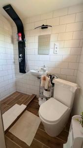 a bathroom with a toilet and a sink at Rebeka Vendégház in Dunasziget