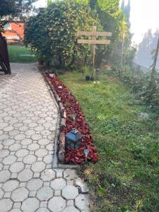 a garden with a wooden cross and red roses at Rebeka Vendégház in Dunasziget
