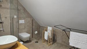 a bathroom with a white toilet and a sink at Tang Guesthouse in Medvode +31 photos