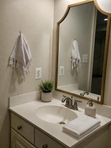a bathroom with a sink and a mirror at Spacious Studio by the Woods in Laurel