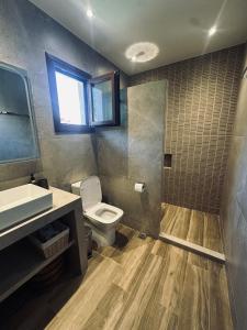 a bathroom with a toilet and a sink and a shower at Kiwi Traditional House in Litochoro
