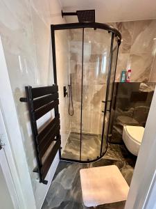 a shower in a bathroom with a sink and a toilet at Peaceful Coastal Escape in Old Colwyn +15 photos