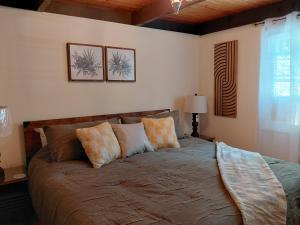 a bedroom with a large bed with pillows at LAKEFRONT CHALET in THE BURCHES in Tobyhanna