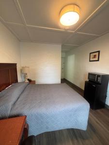 a hotel room with a bed and a lamp at Martin House Motel in Brookfield