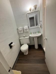a small bathroom with a toilet and a sink at Martin House Motel in Brookfield