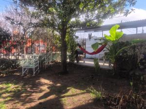 a tree with a red ribbon tied to it at LA CASA Nostra in Valle Hermoso