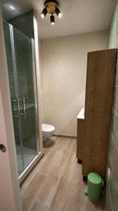 a bathroom with a glass shower and a toilet at Lovely studio with balcony - central location in Cavalaire-sur-Mer +3 photos