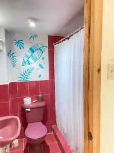 a bathroom with a pink toilet and a sink at Hostería del Puerto in Puerto López