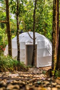 a white tent in the middle of a forest at Botanik Glamping in Coto Brus