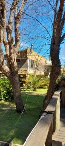 a tree and a bench in front of a house at La Posada del Abra in Tigre