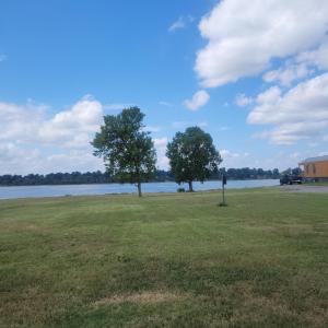 two trees in a field next to a body of water at Red Leaf Cottages in Lake Village