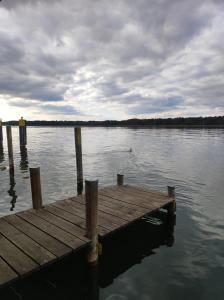 a dock on a lake with a bird in the water at Storchenhorst 