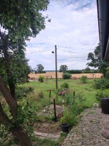 a garden with a field in the background at Storchenhorst 